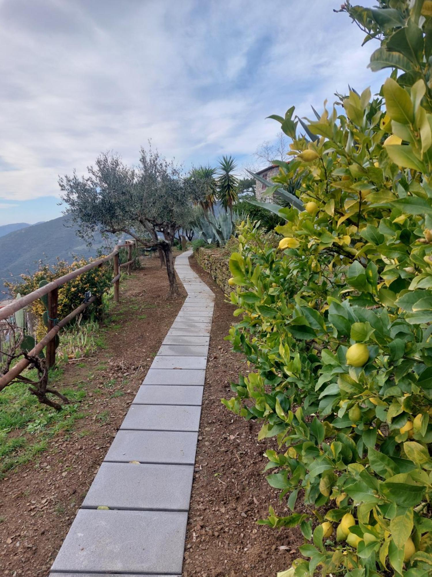 Incanto Appartement Vernazza Buitenkant foto